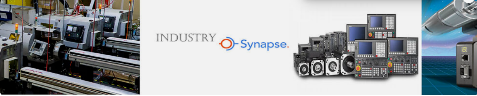 synapse